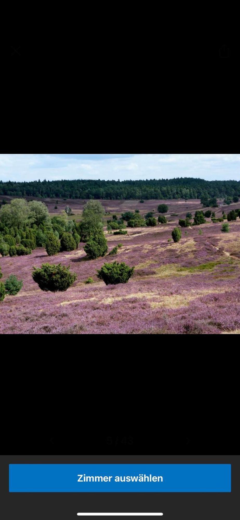 Landhotel Vessens Hoff Buchholz in der Nordheide Buitenkant foto