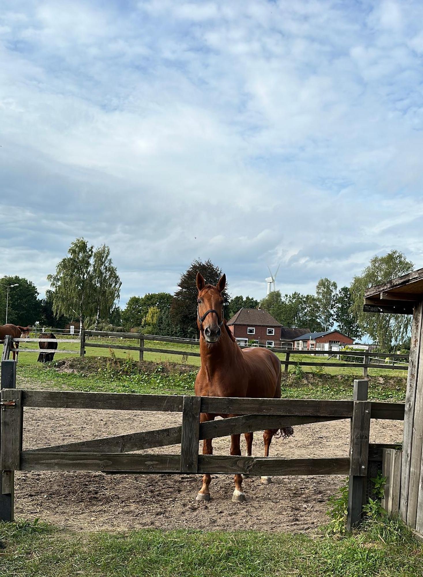 Landhotel Vessens Hoff Buchholz in der Nordheide Buitenkant foto